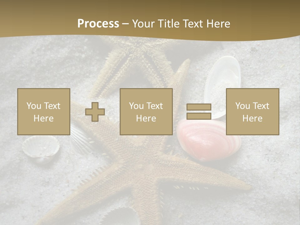 Shells Ocean Marine PowerPoint Template