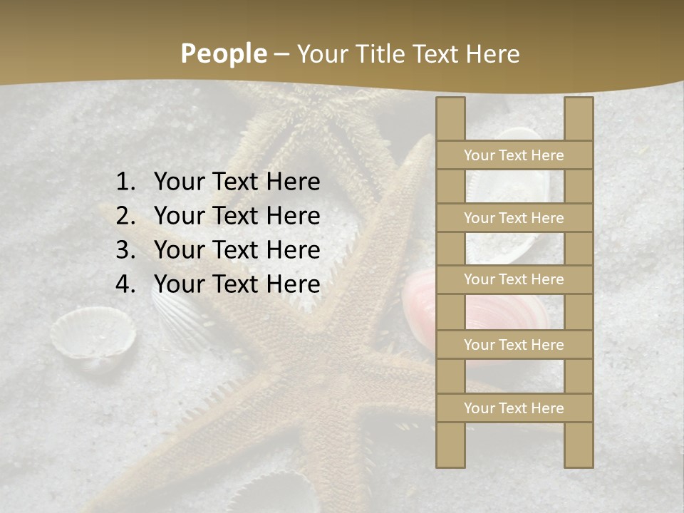 Shells Ocean Marine PowerPoint Template