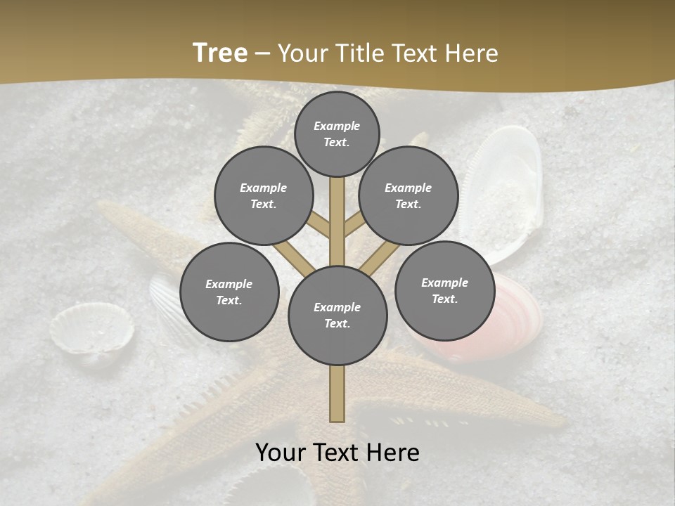 Shells Ocean Marine PowerPoint Template