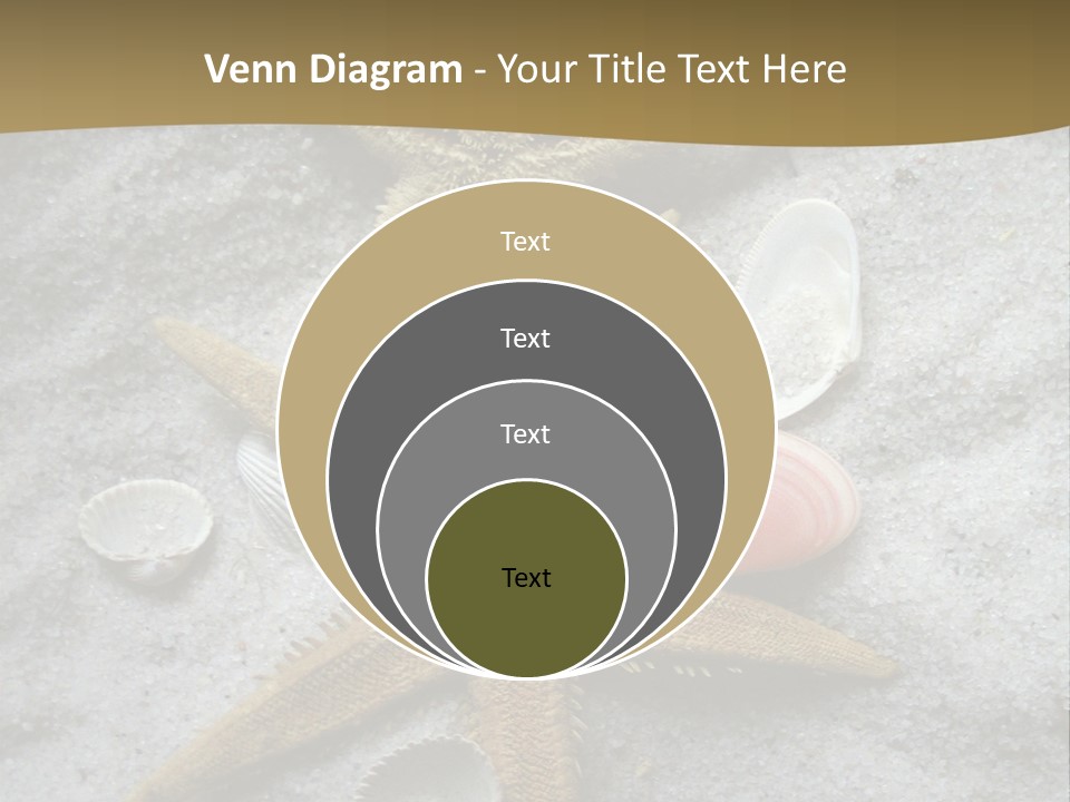 Shells Ocean Marine PowerPoint Template