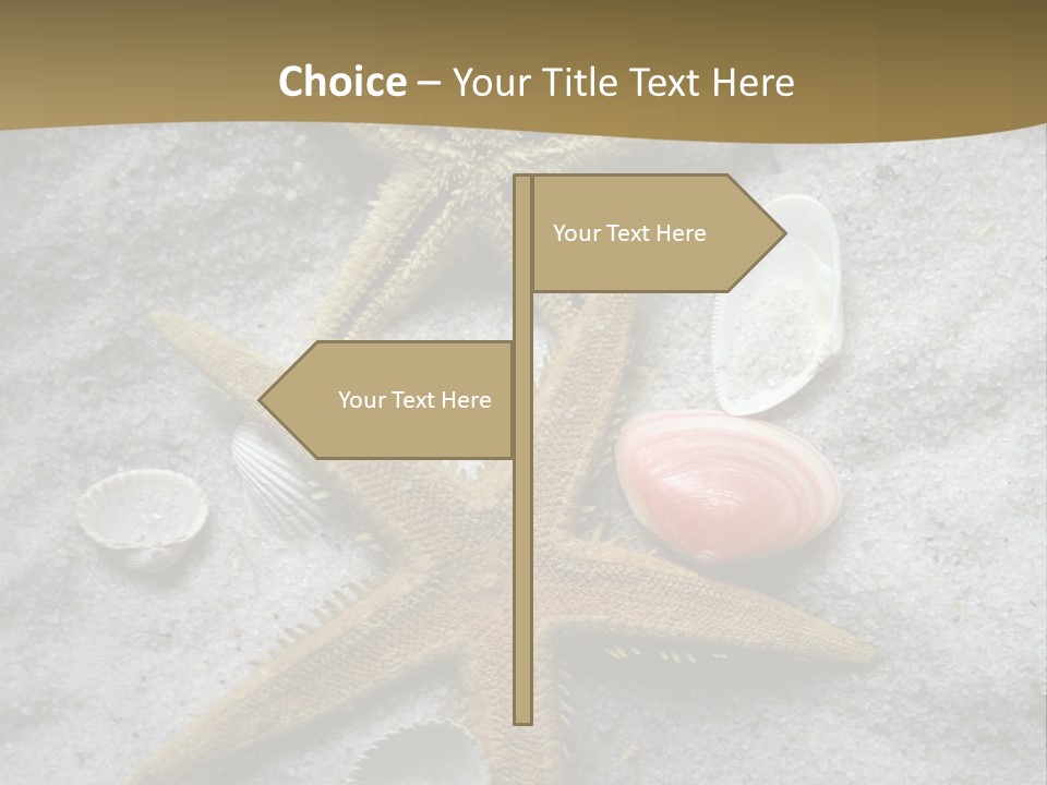 Shells Ocean Marine PowerPoint Template