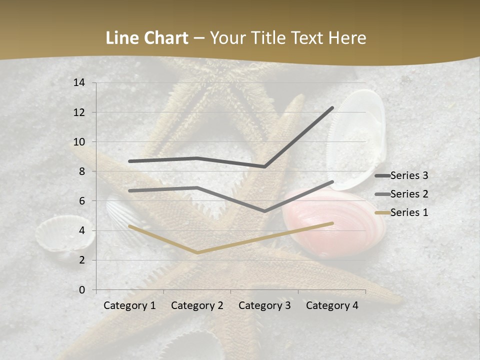 Shells Ocean Marine PowerPoint Template