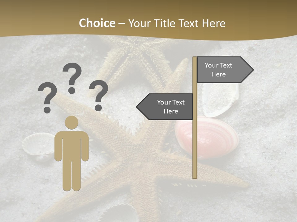 Shells Ocean Marine PowerPoint Template