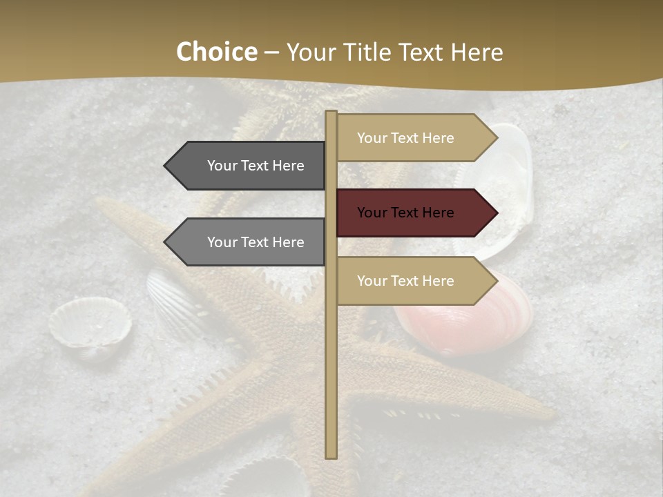 Shells Ocean Marine PowerPoint Template