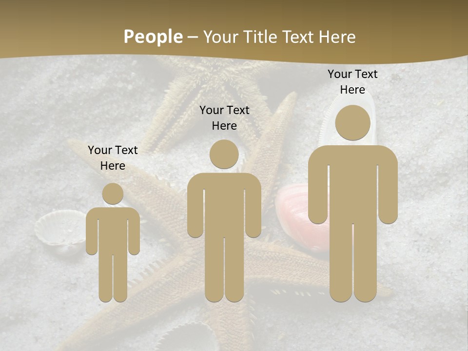 Shells Ocean Marine PowerPoint Template