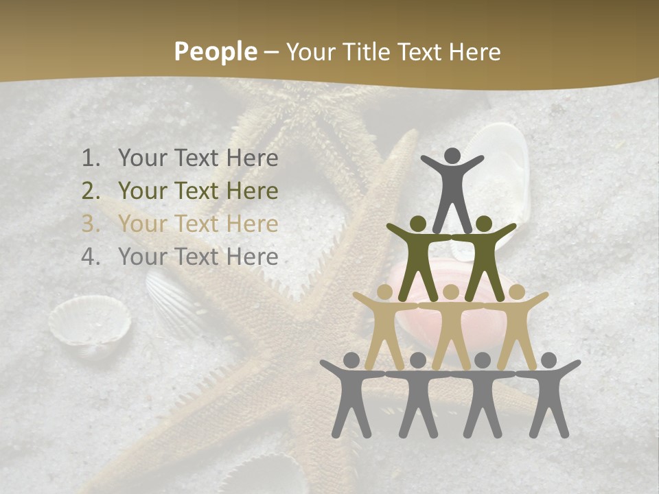 Shells Ocean Marine PowerPoint Template