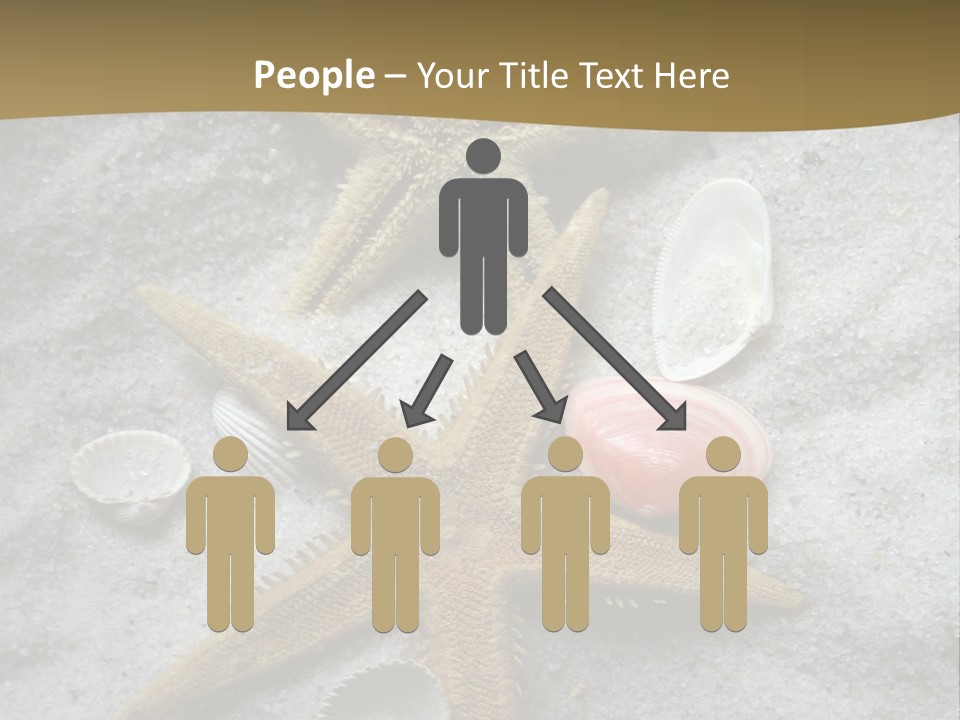 Shells Ocean Marine PowerPoint Template