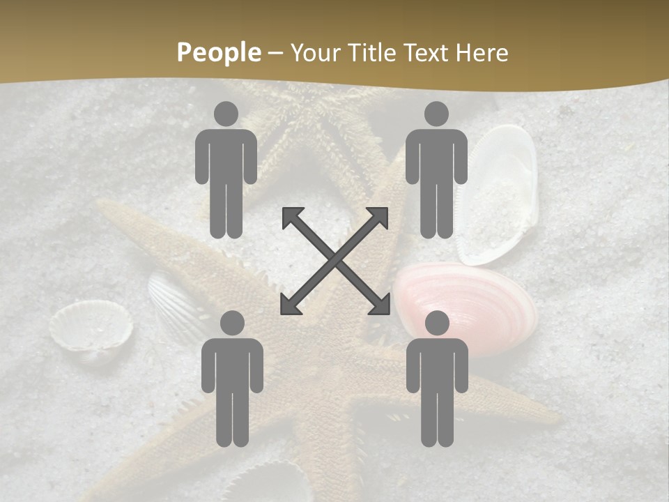 Shells Ocean Marine PowerPoint Template