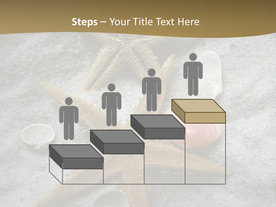 Shells Ocean Marine PowerPoint Template