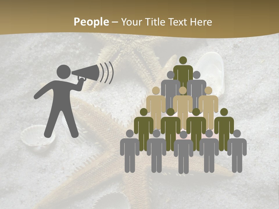 Shells Ocean Marine PowerPoint Template