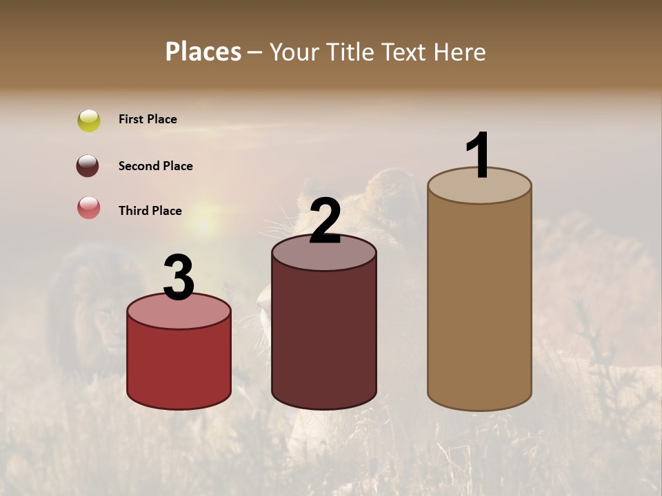 Natur Tierpark Blick PowerPoint Template