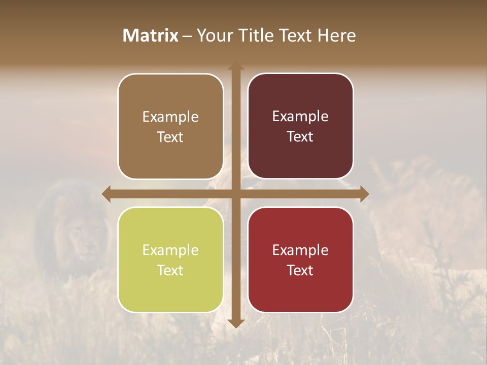 Natur Tierpark Blick PowerPoint Template