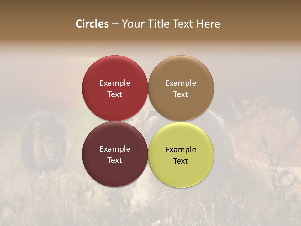 Natur Tierpark Blick PowerPoint Template