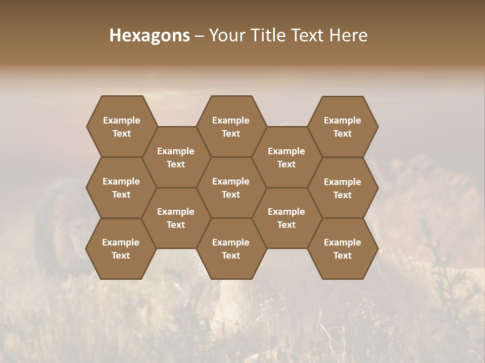 Natur Tierpark Blick PowerPoint Template