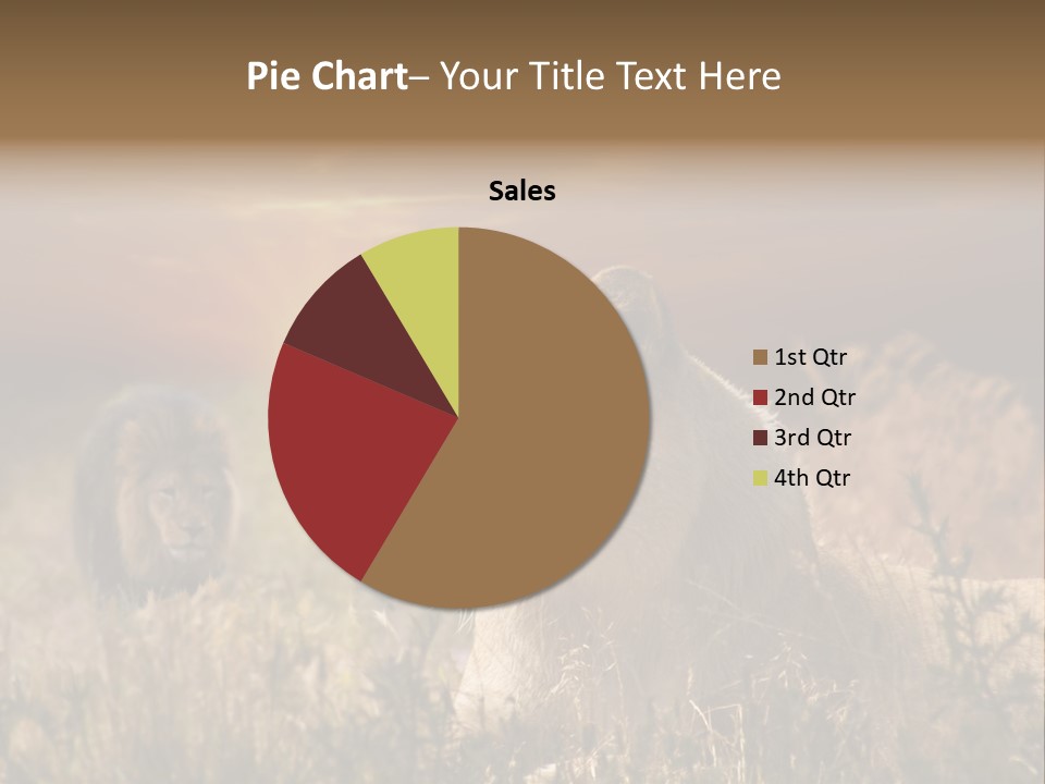 Natur Tierpark Blick PowerPoint Template