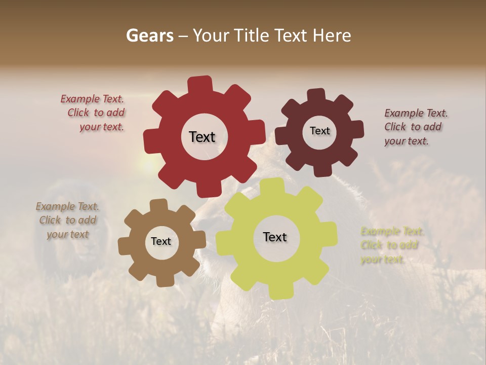 Natur Tierpark Blick PowerPoint Template