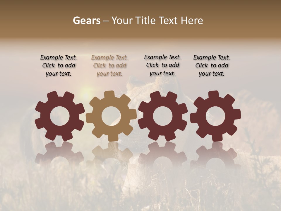 Natur Tierpark Blick PowerPoint Template