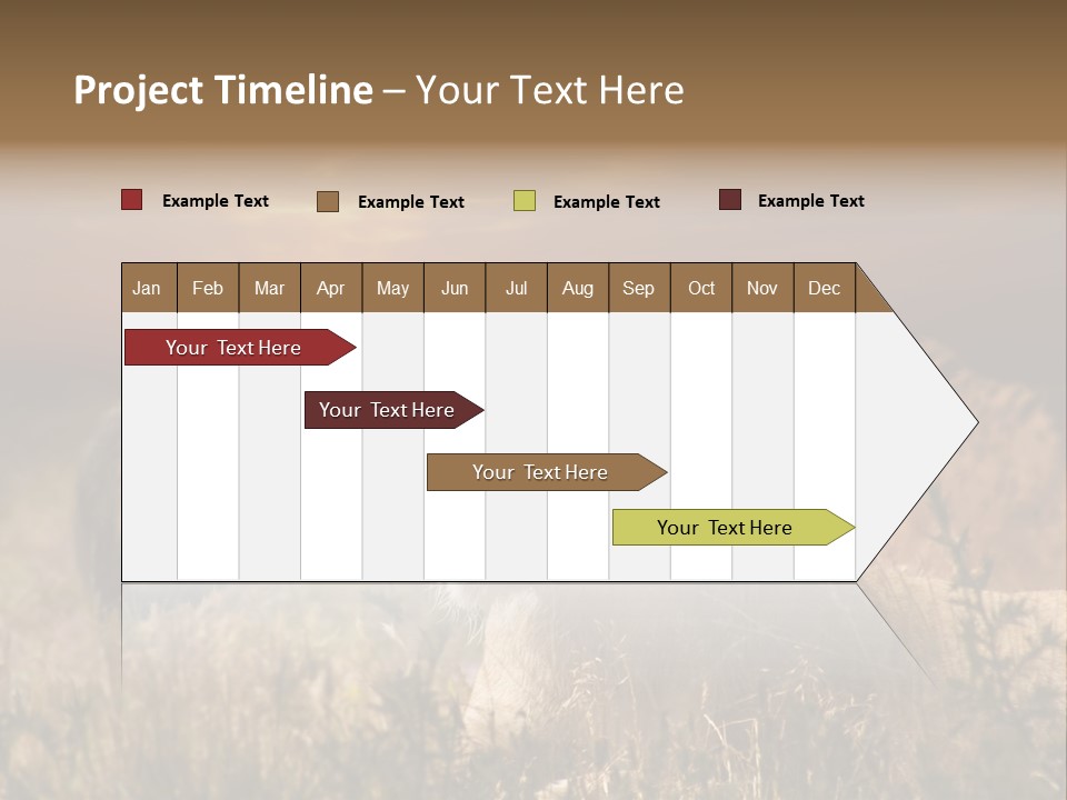 Natur Tierpark Blick PowerPoint Template