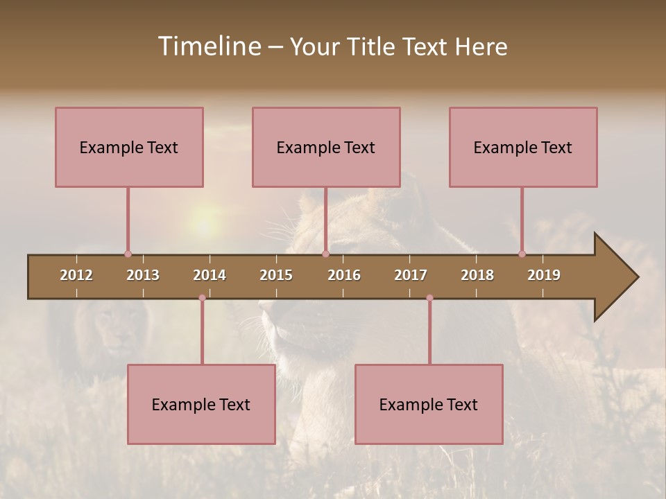Natur Tierpark Blick PowerPoint Template