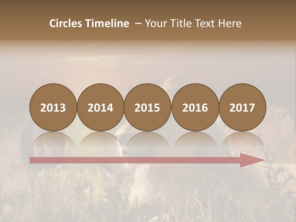 Natur Tierpark Blick PowerPoint Template