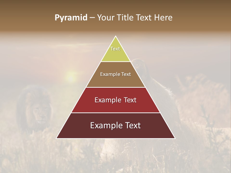 Natur Tierpark Blick PowerPoint Template