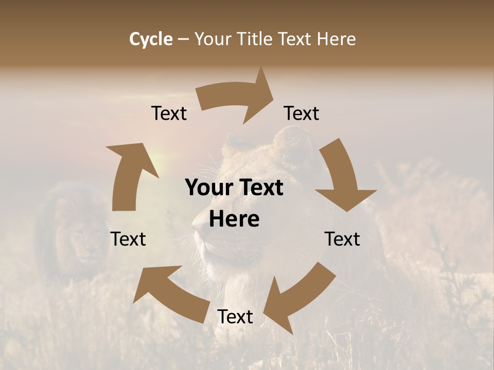 Natur Tierpark Blick PowerPoint Template