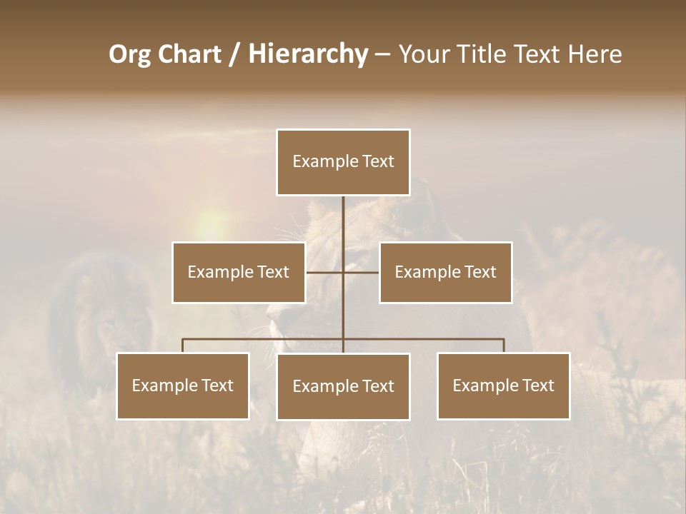 Natur Tierpark Blick PowerPoint Template