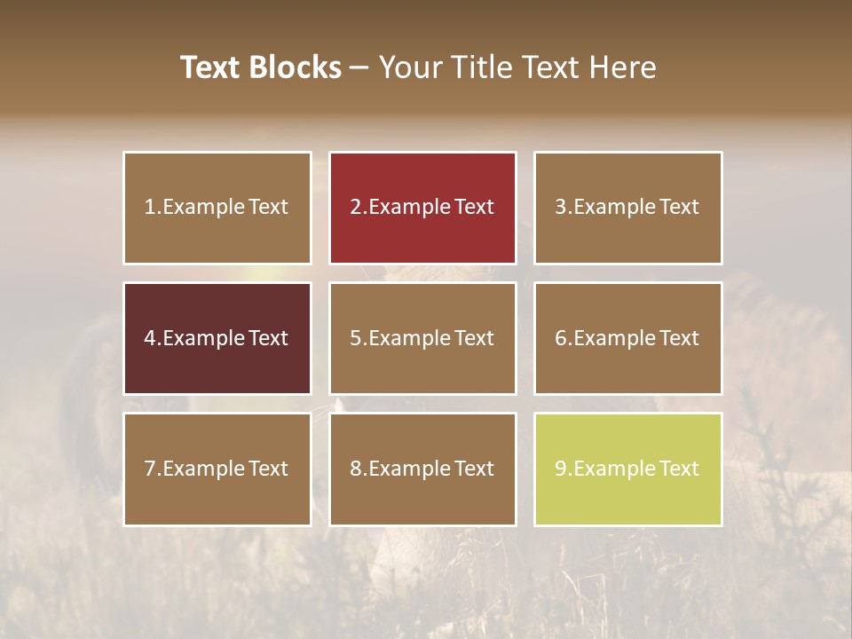 Natur Tierpark Blick PowerPoint Template