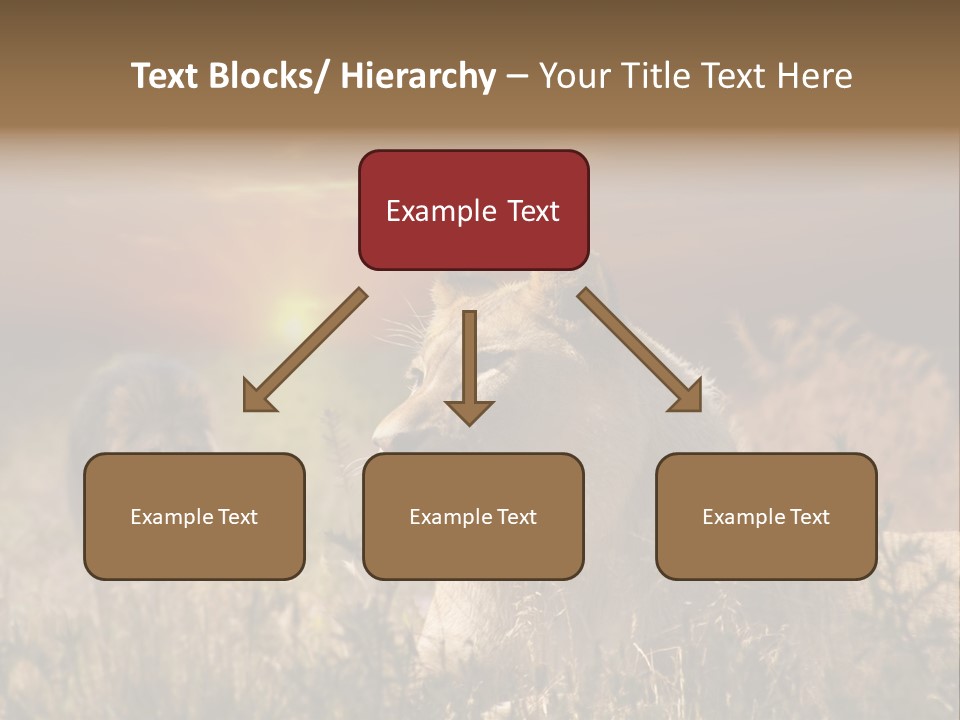 Natur Tierpark Blick PowerPoint Template