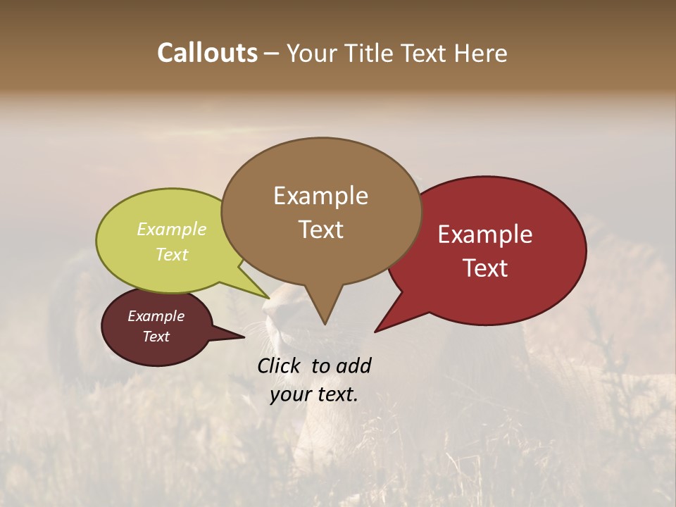 Natur Tierpark Blick PowerPoint Template