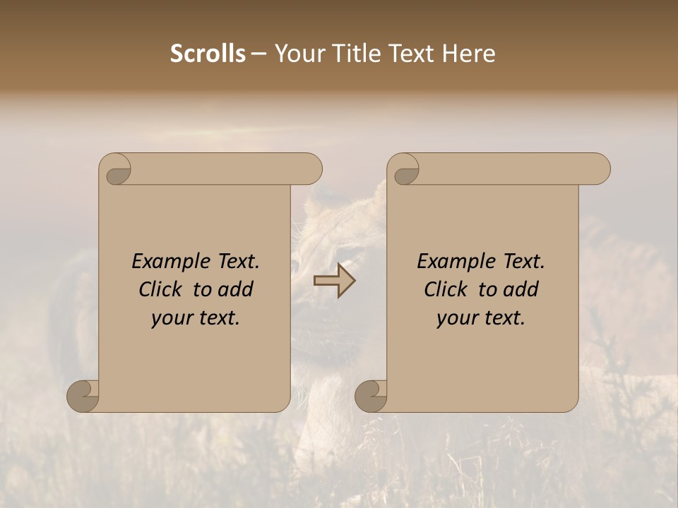 Natur Tierpark Blick PowerPoint Template