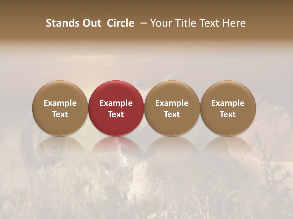 Natur Tierpark Blick PowerPoint Template