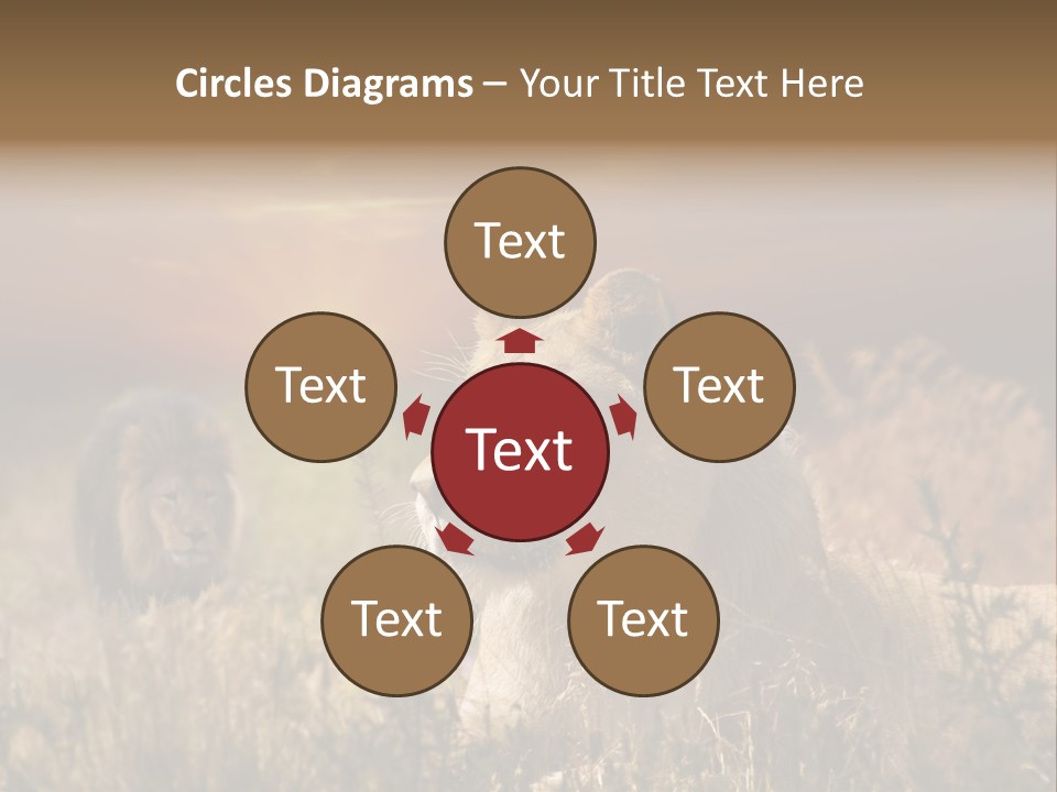 Natur Tierpark Blick PowerPoint Template