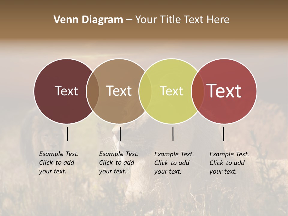 Natur Tierpark Blick PowerPoint Template