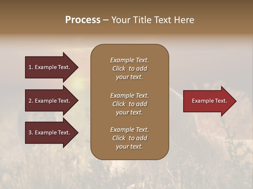 Natur Tierpark Blick PowerPoint Template