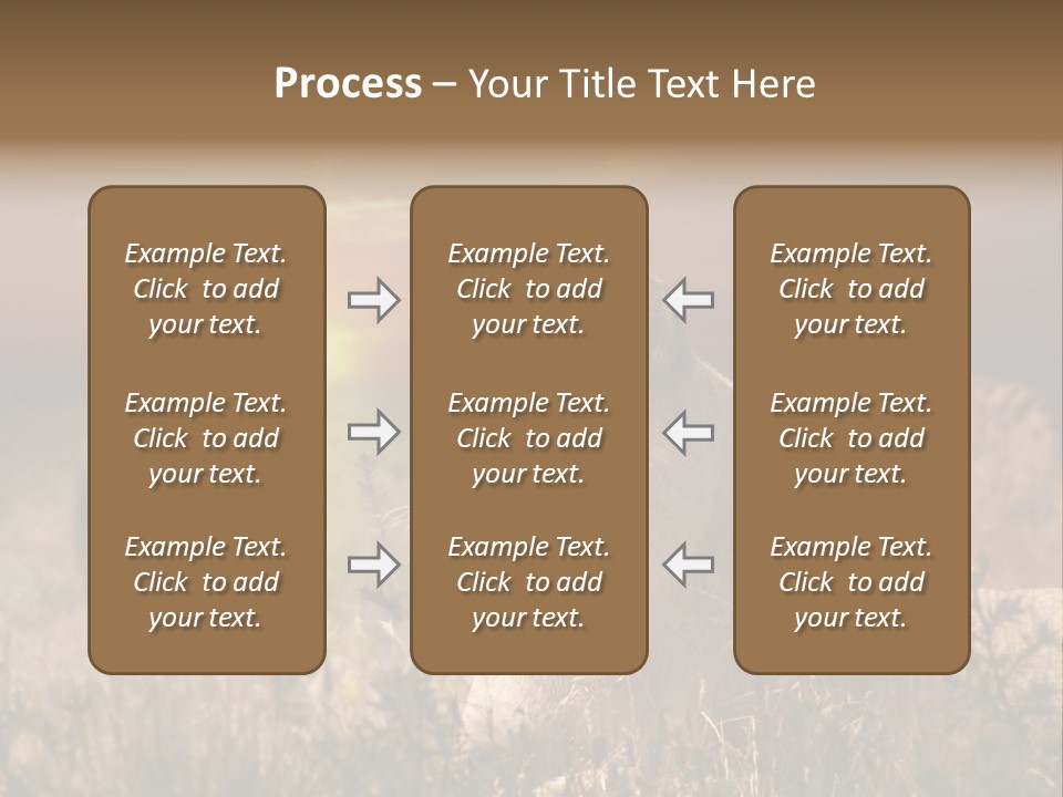 Natur Tierpark Blick PowerPoint Template