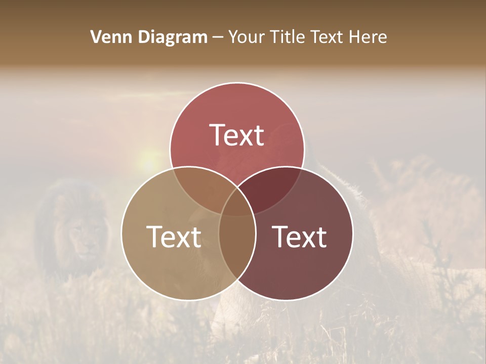 Natur Tierpark Blick PowerPoint Template