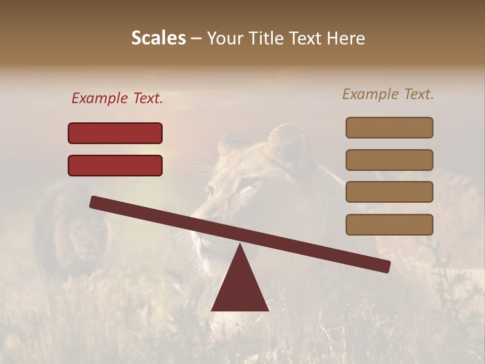 Natur Tierpark Blick PowerPoint Template