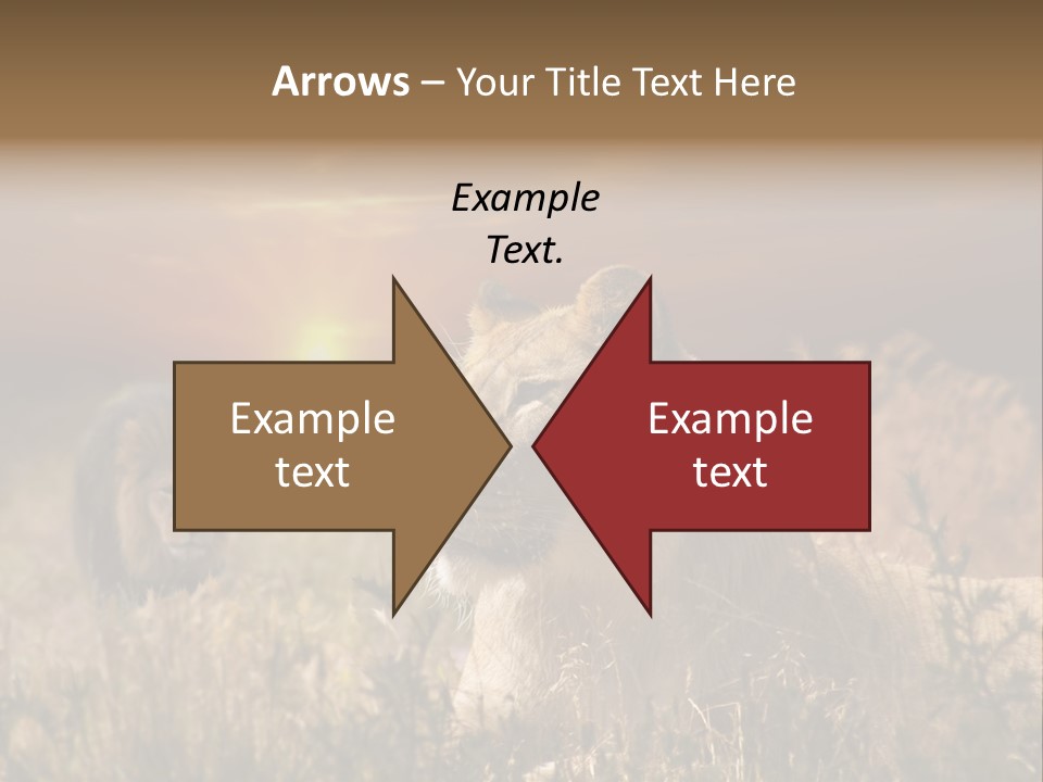 Natur Tierpark Blick PowerPoint Template