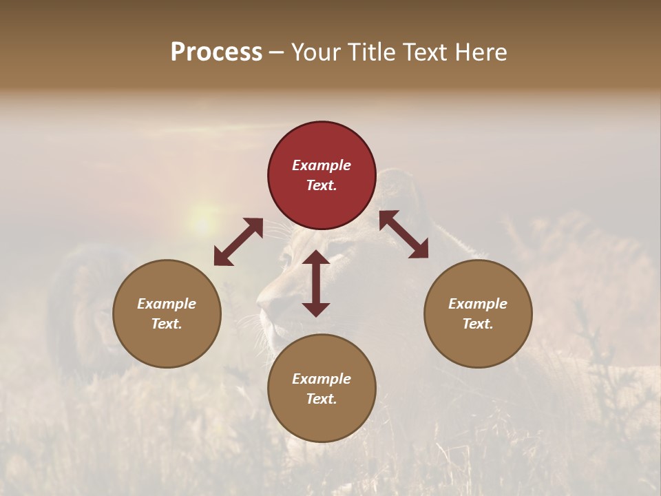 Natur Tierpark Blick PowerPoint Template