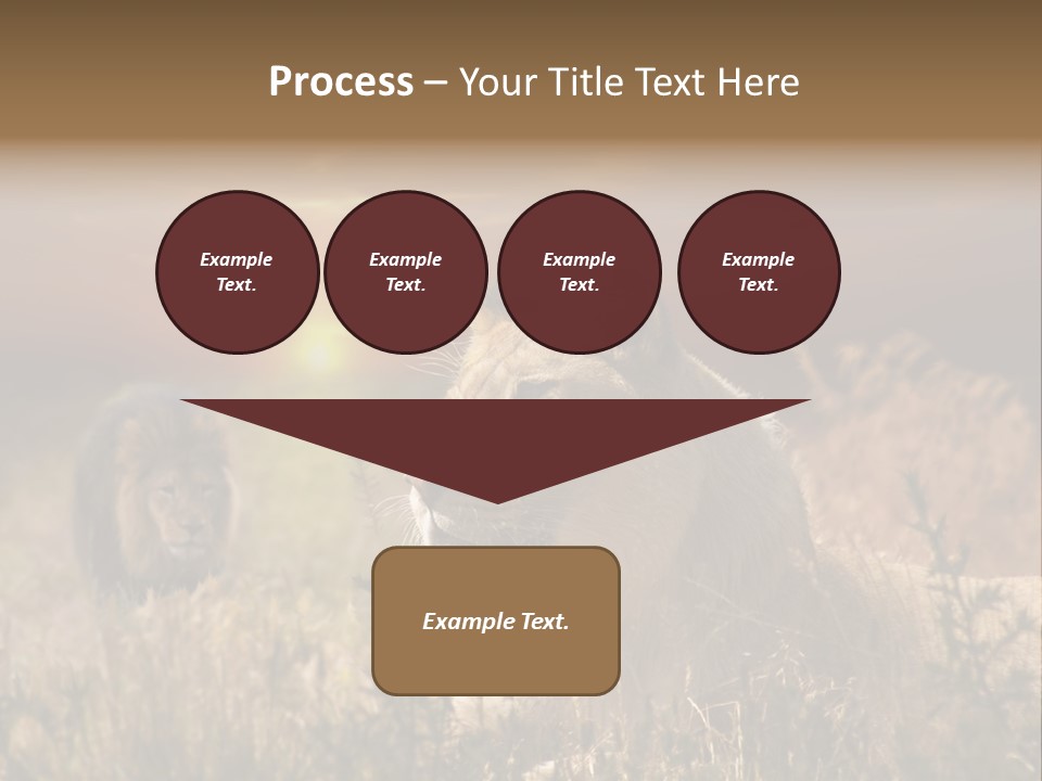 Natur Tierpark Blick PowerPoint Template