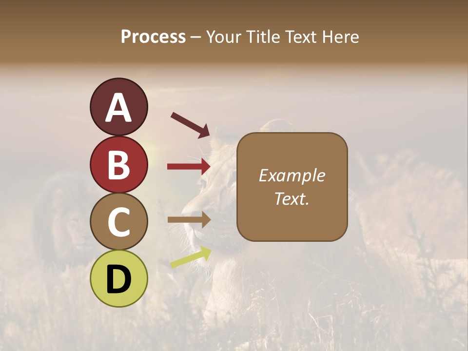 Natur Tierpark Blick PowerPoint Template