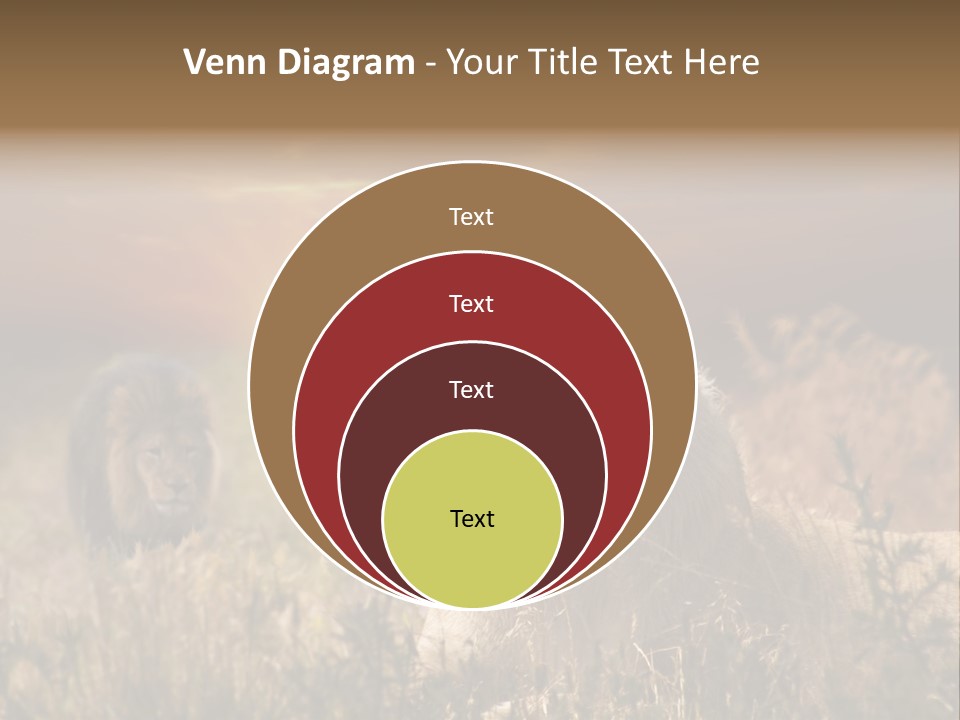 Natur Tierpark Blick PowerPoint Template