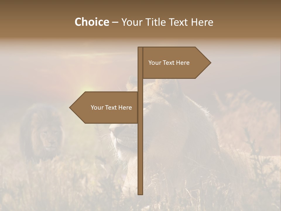 Natur Tierpark Blick PowerPoint Template