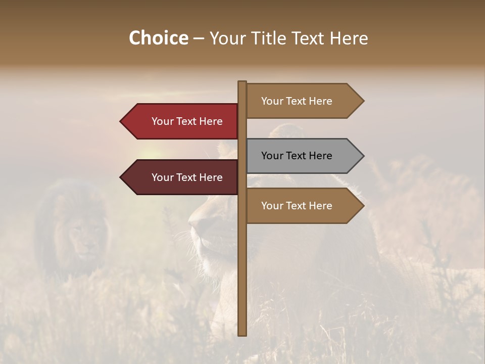 Natur Tierpark Blick PowerPoint Template