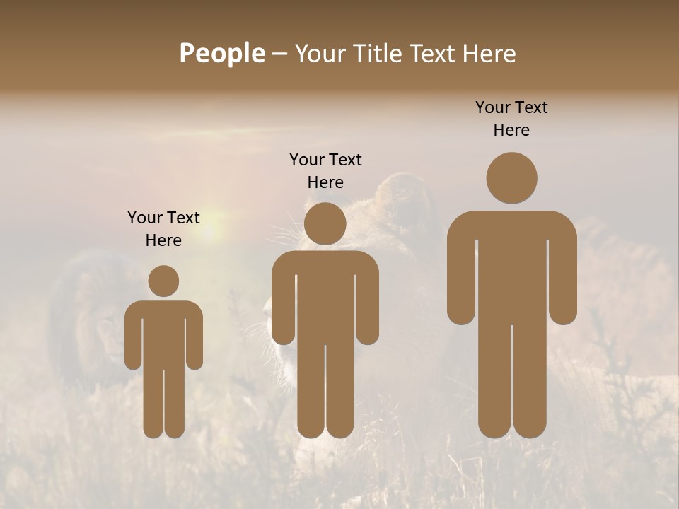 Natur Tierpark Blick PowerPoint Template