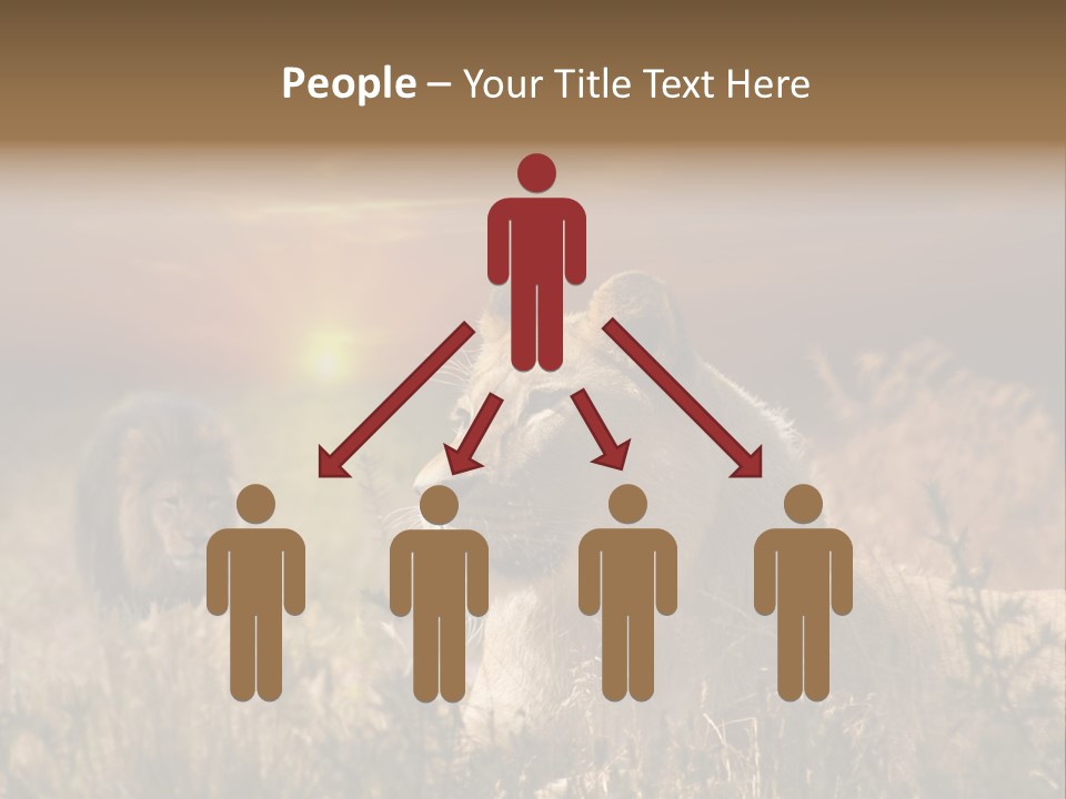 Natur Tierpark Blick PowerPoint Template