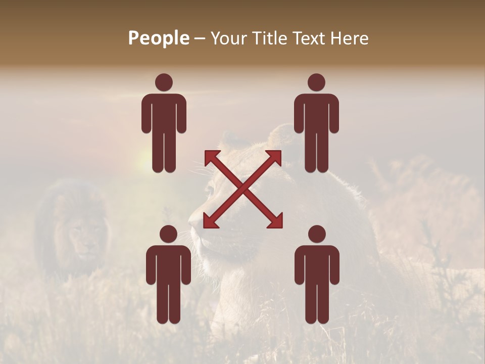 Natur Tierpark Blick PowerPoint Template