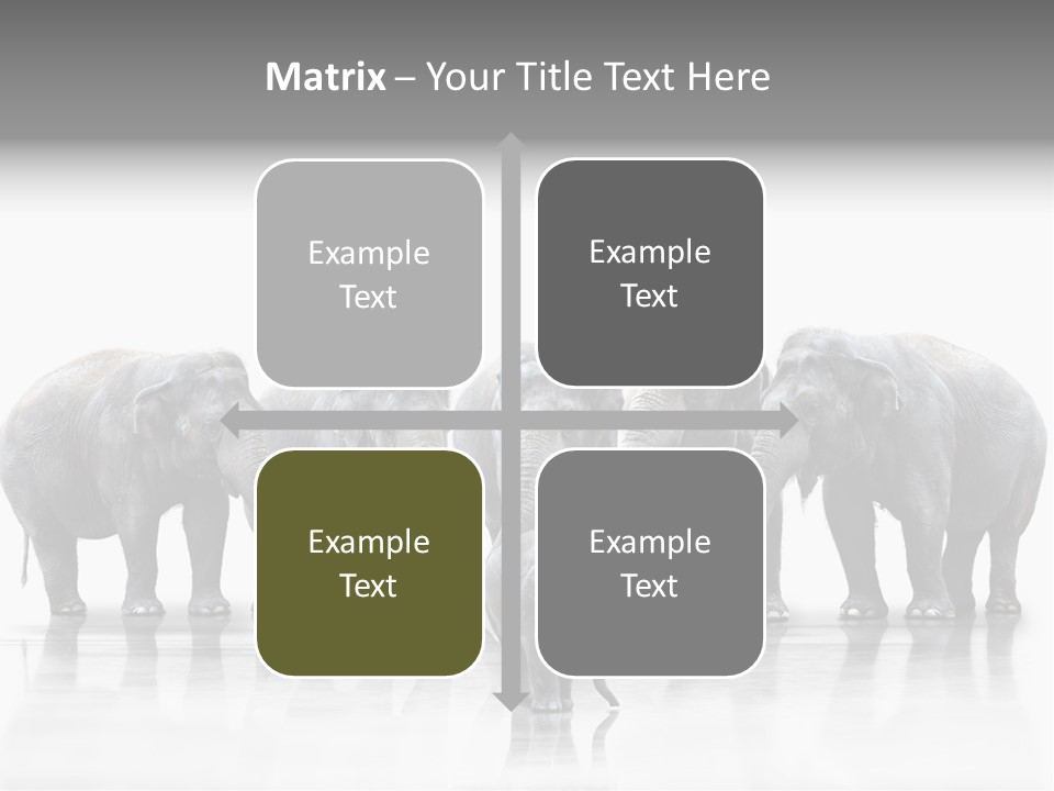 Tier Zusammenhalt Elefanten PowerPoint Template