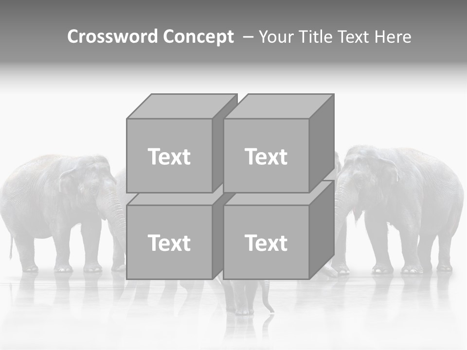 Tier Zusammenhalt Elefanten PowerPoint Template